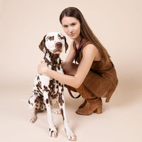 william-walker-florence-leder-hundehalsband-limited-crazy-horse-leather-braun image 5