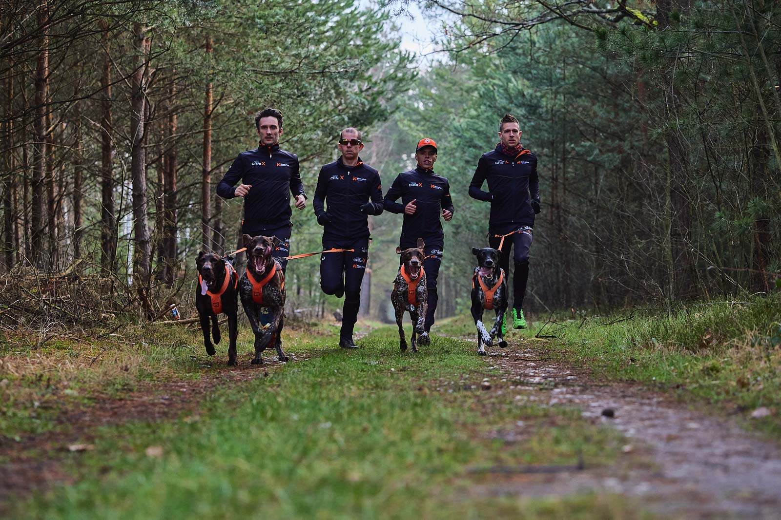 non-stop-dogwear-canix-belt-pro-canicross-laufg-rtel image 5