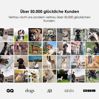 william-walker-hanseatic-paracord-hundeleine image 8