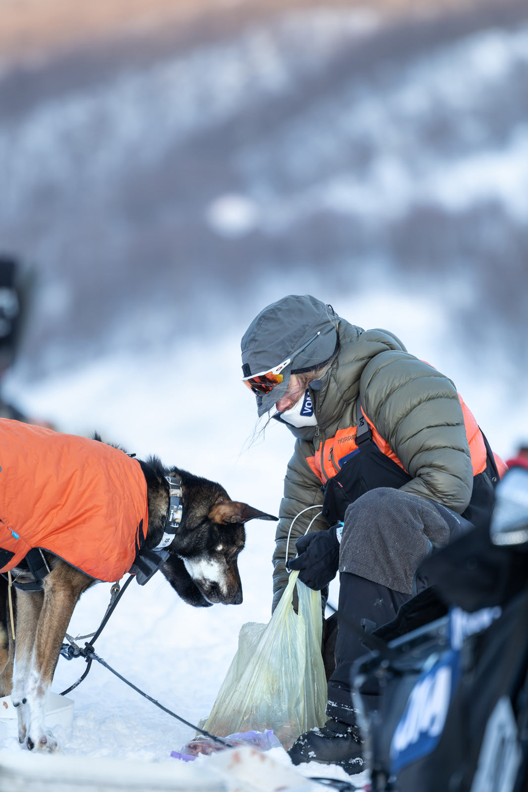 non-stop-dogwear-trail-expedition-hat-winterm-tze image 4