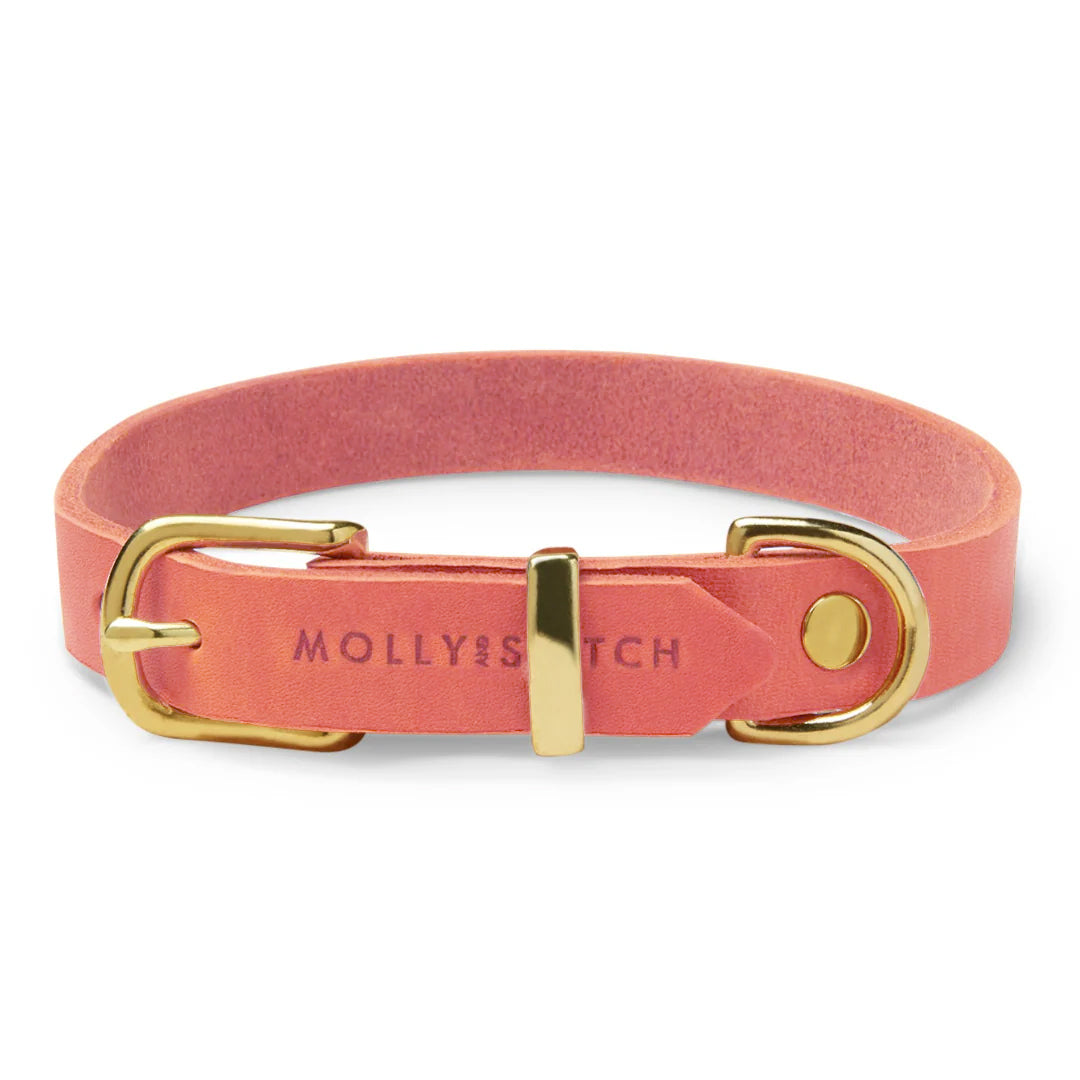 molly-and-stitch-butter-leder-hundehalsband-coral-pink image 1