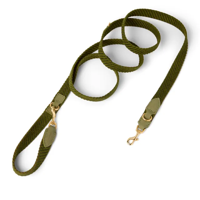 molly-and-stitch-serrana-3-fach-verstellbare-hundeleine-moss image 1