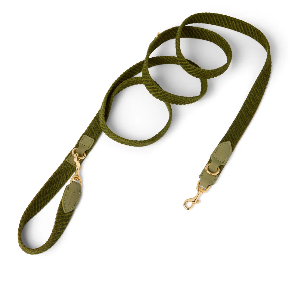 molly-and-stitch-serrana-3-fach-verstellbare-hundeleine-moss image 1