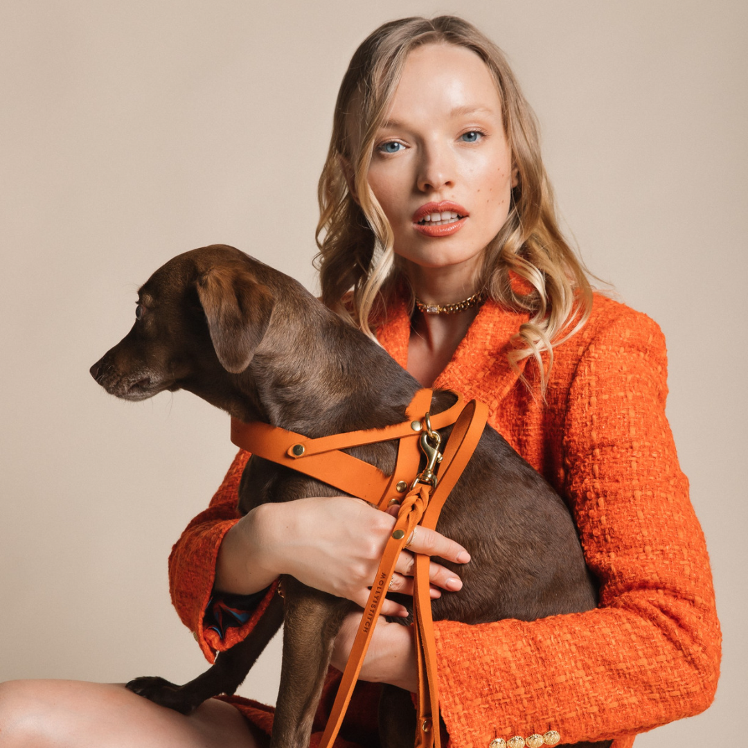 molly-and-stitch-butter-leather-hundegeschirr-mango image 4