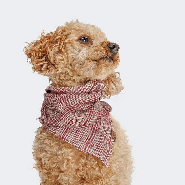 cloud7-hundehalstuch-bandana-check-red-light-green-aus-leinen image 1