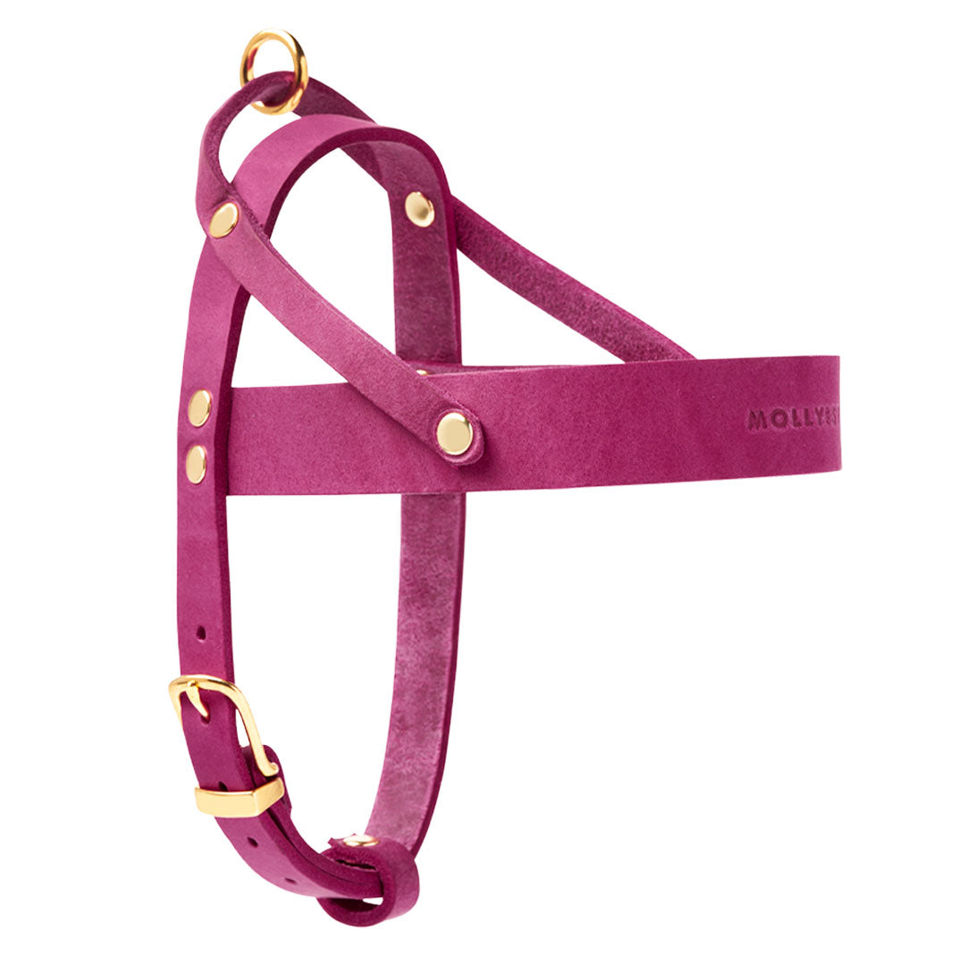 molly-and-stitch-butter-leder-hundegeschirr-flamingo image 4