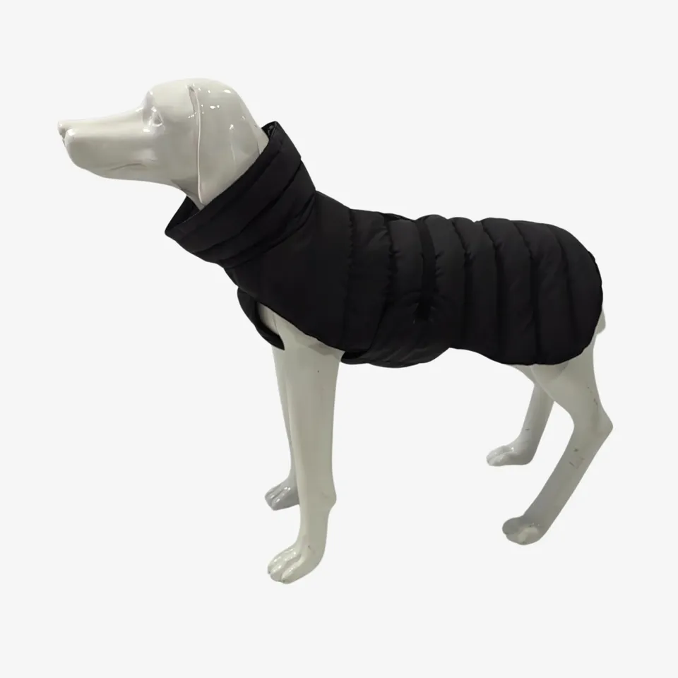 vitomalia-wintermantel-f-r-hunde-anthrazit-bis-30-c image 1