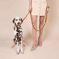 william-walker-prestige-caramel-hundeleine-aus-leder-braun image 8