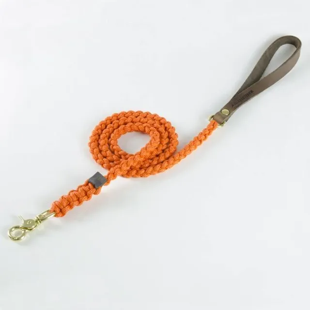 molly-and-stitch-touch-of-leather-hundeleine-pumpkin image 1