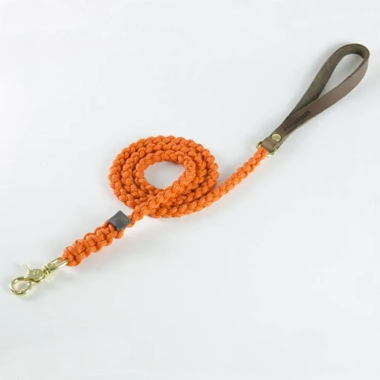 molly-and-stitch-touch-of-leather-hundeleine-pumpkin image 1