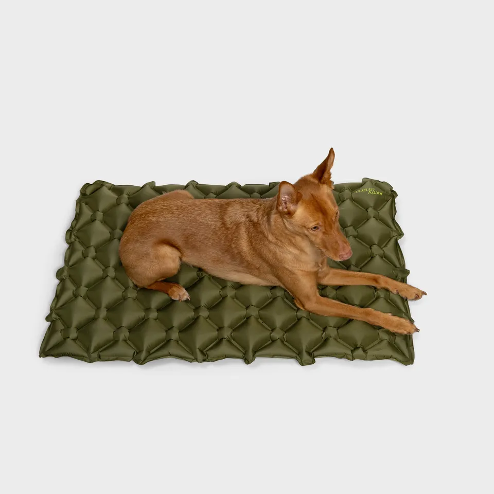cloud7-hundereisematte-air-aktiv-khaki-aufblasbare-hundematte-f-r-reise-und-outd image 1