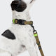 cloud7-ipanema-biothane-hands-free-hundeleine-olive-neon-green image 2