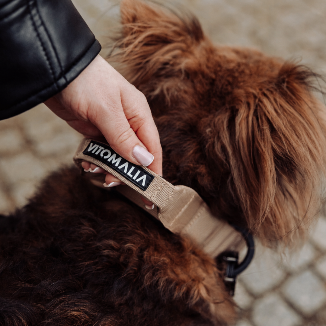 vitomalia-extreme-edition-robustes-hundehalsband-mit-sicherheitsverschluss-magne image 2