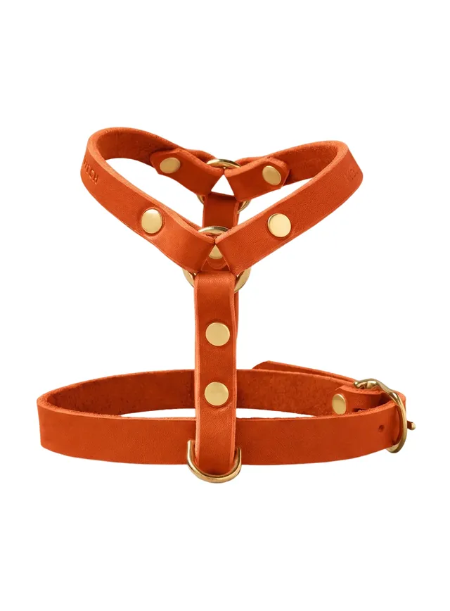 molly-and-stitch-butter-leather-y-geschirr-mango image 1