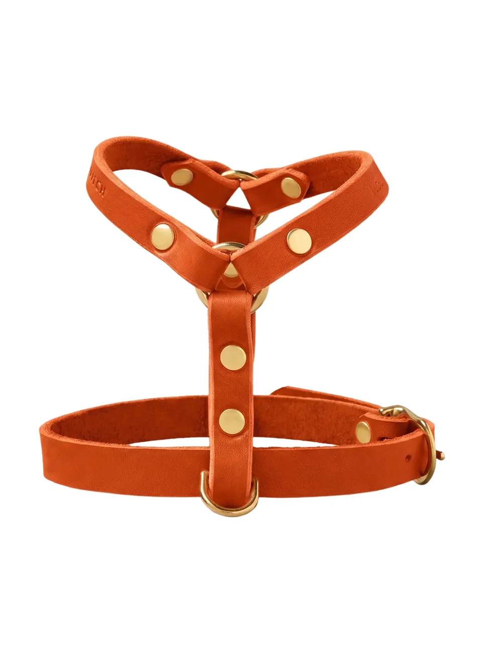 molly-and-stitch-butter-leather-y-geschirr-mango image 1
