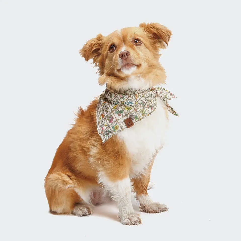 cloud7-lttl-hundehalstuch-flower-squares-f-r-kleine-und-gro-e-hunde image 1