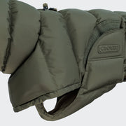 cloud7-dog-coat-everest-light-olive image 3