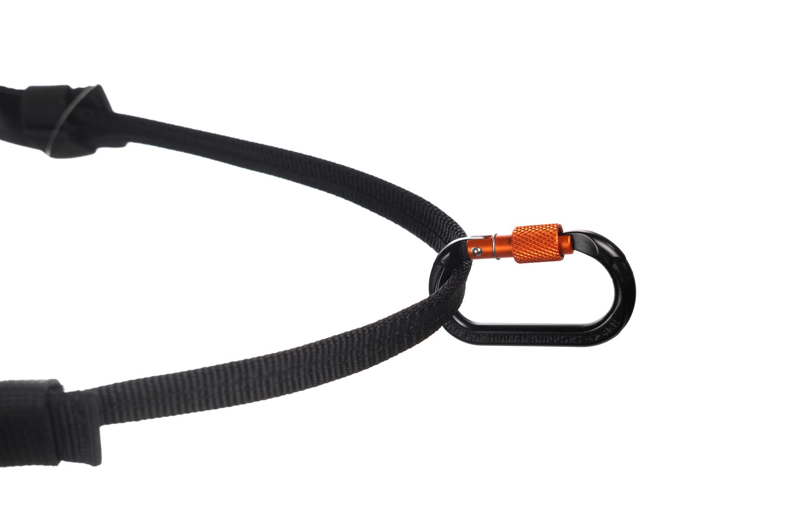 non-stop-dogwear-canix-belt-canicross-laufgurt image 3
