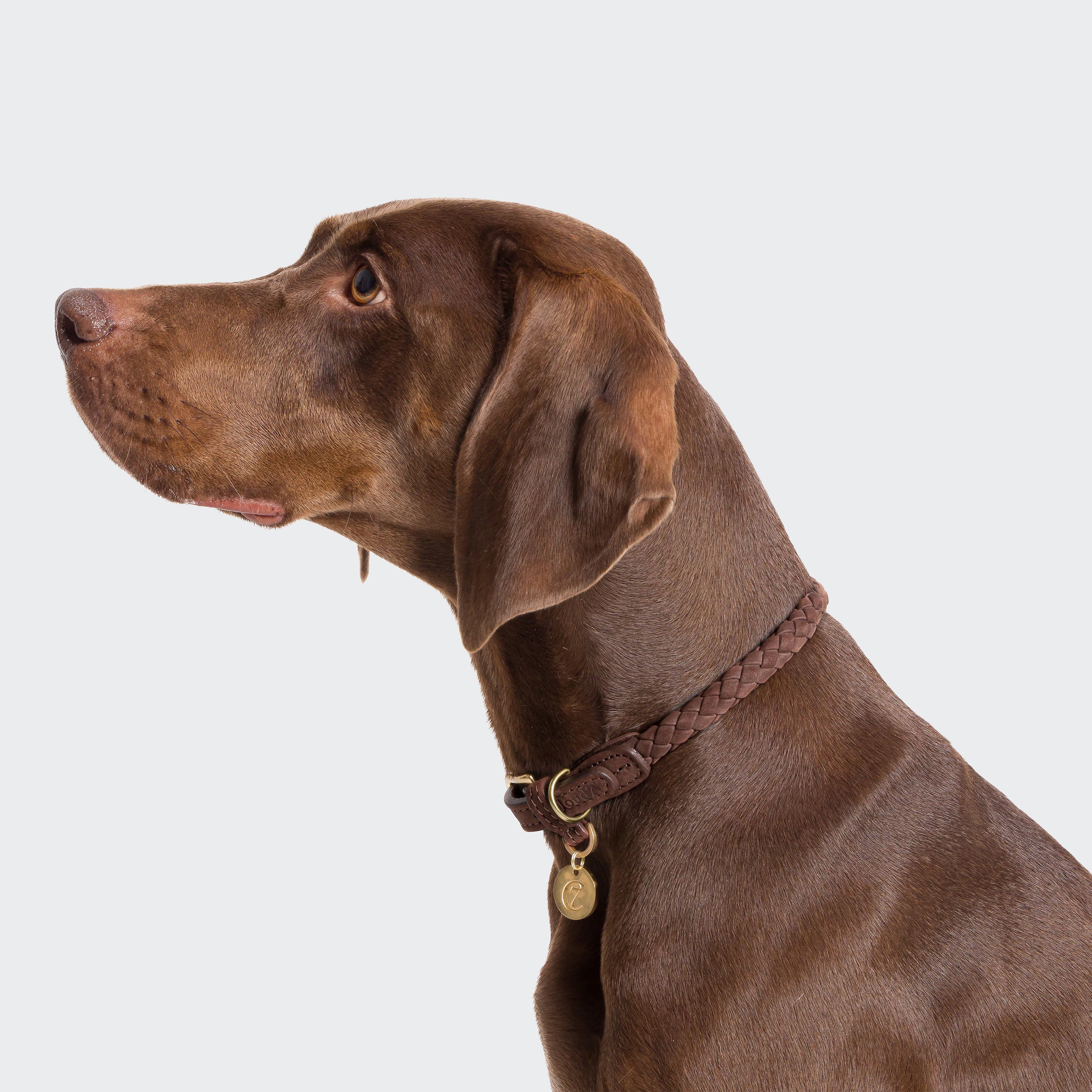 cloud7-hundehalsband-ravello-hazel-nubukleder image 3