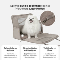 william-walker-cloud-summit-hundetragetasche-flugzeug-pet-carrier image 3