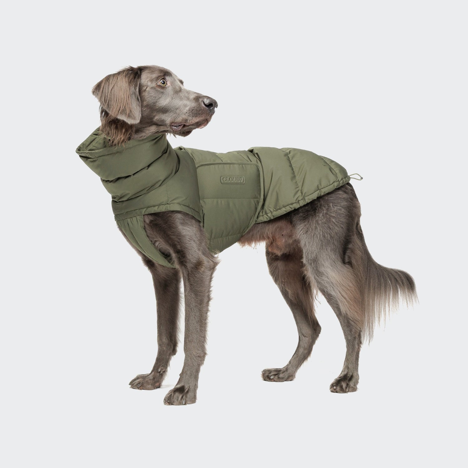cloud7-hundemantel-alaska-light-olive-2 image 1