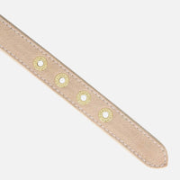 william-walker-wildleder-hundehalsband-almond-beige image 4