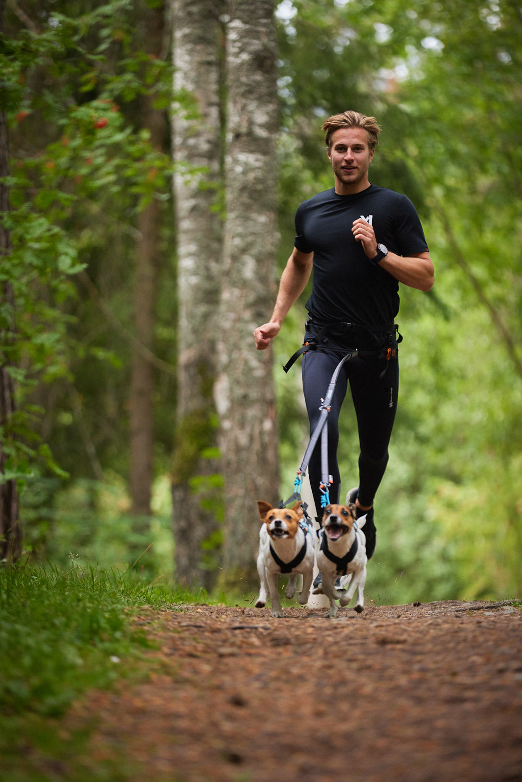 non-stop-dogwear-touring-double-y-verteilerleine image 6