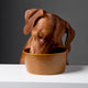 cloud7-alain-hundenapf-cinnamon-aus-keramik image 6