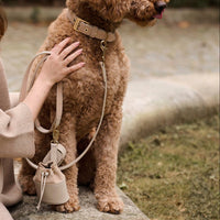 william-walker-luxe-wildleder-hundeleine-almond-beige image 5