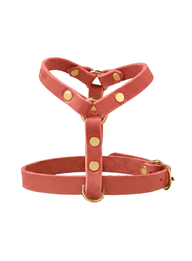 molly-and-stitch-butter-leather-y-geschirr-coral-pink image 1