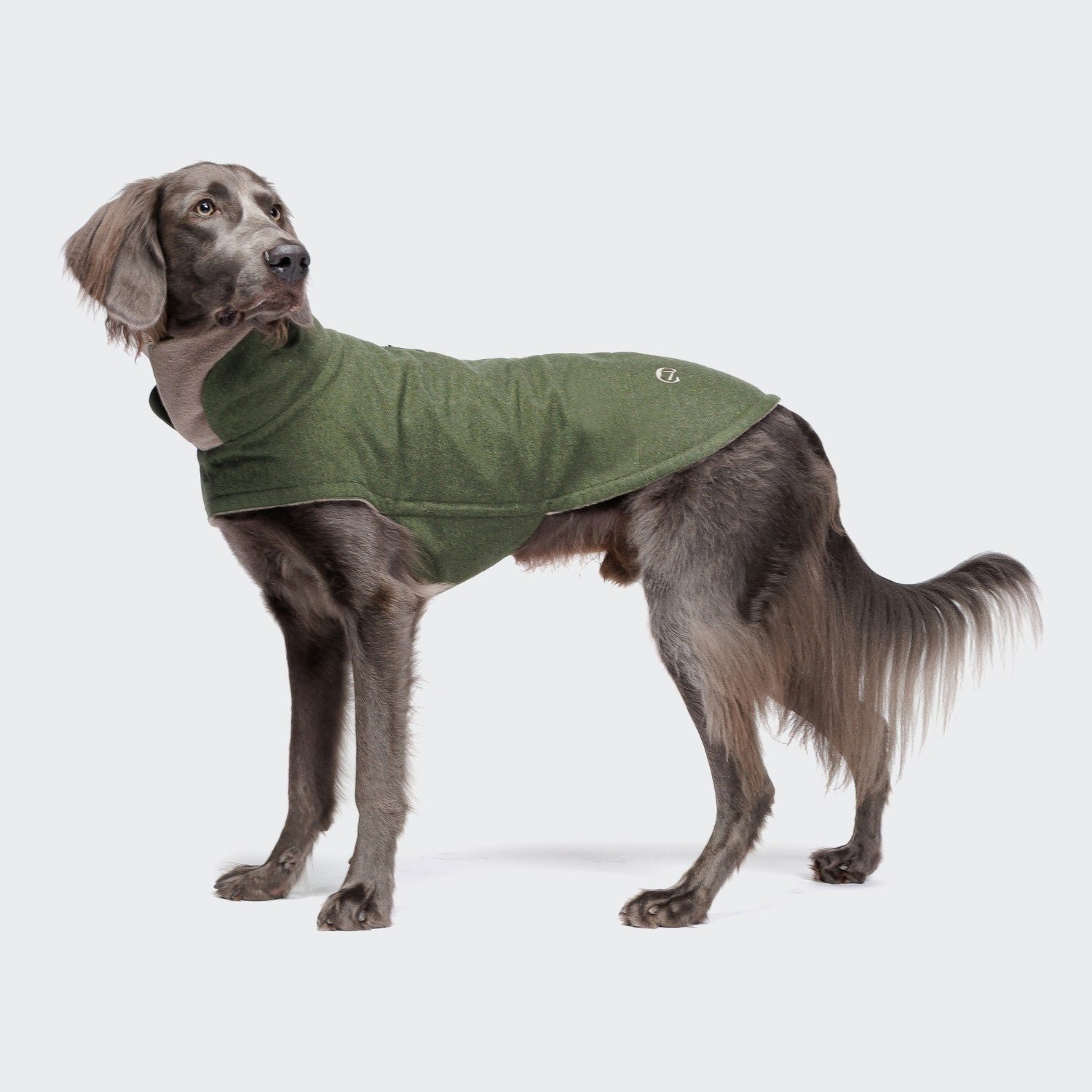 cloud7-brooklyn-flannel-fern-green-hundemantel-winter image 1