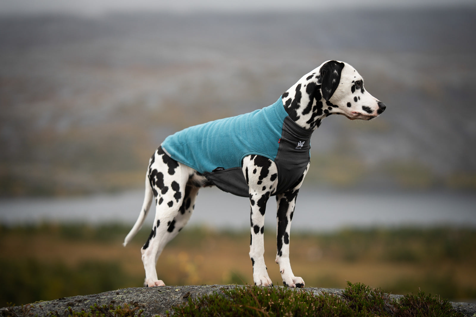non-stop-dogwear-trail-quest-fleece-pullover-warmer-fleece-pullover image 5