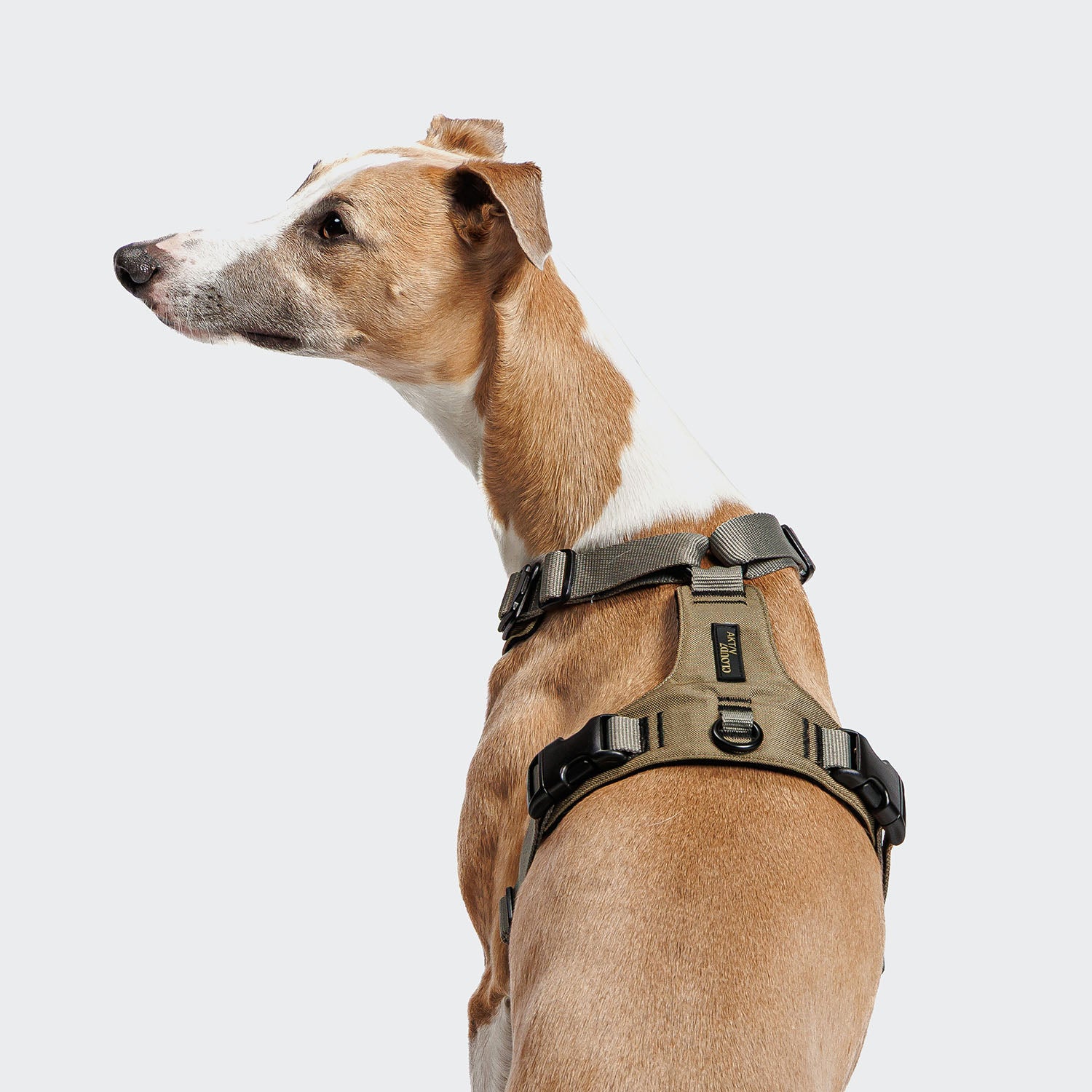 cloud7-y-2-geschirr-aktiv-cordura-khaki-hundegeschirr image 2