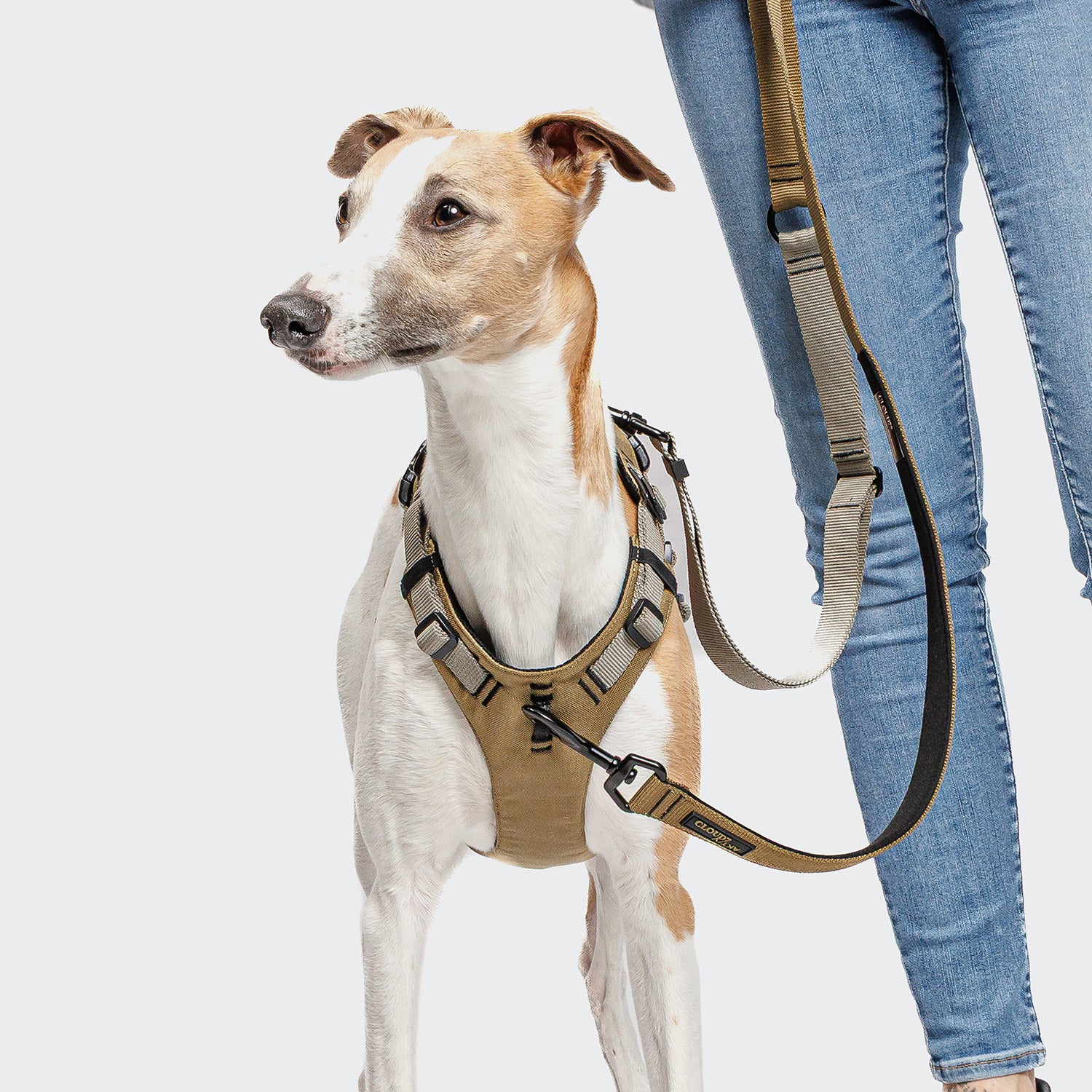 cloud7-l-1-freihandleine-aktiv-khaki-grey image 5