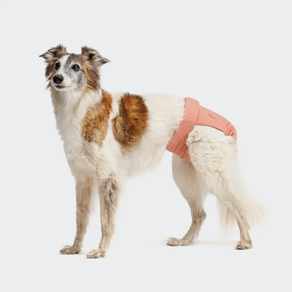 cloud7-f-hr-l-ufigkeitshose-rose-hundehose-aus-baumwolle image 1