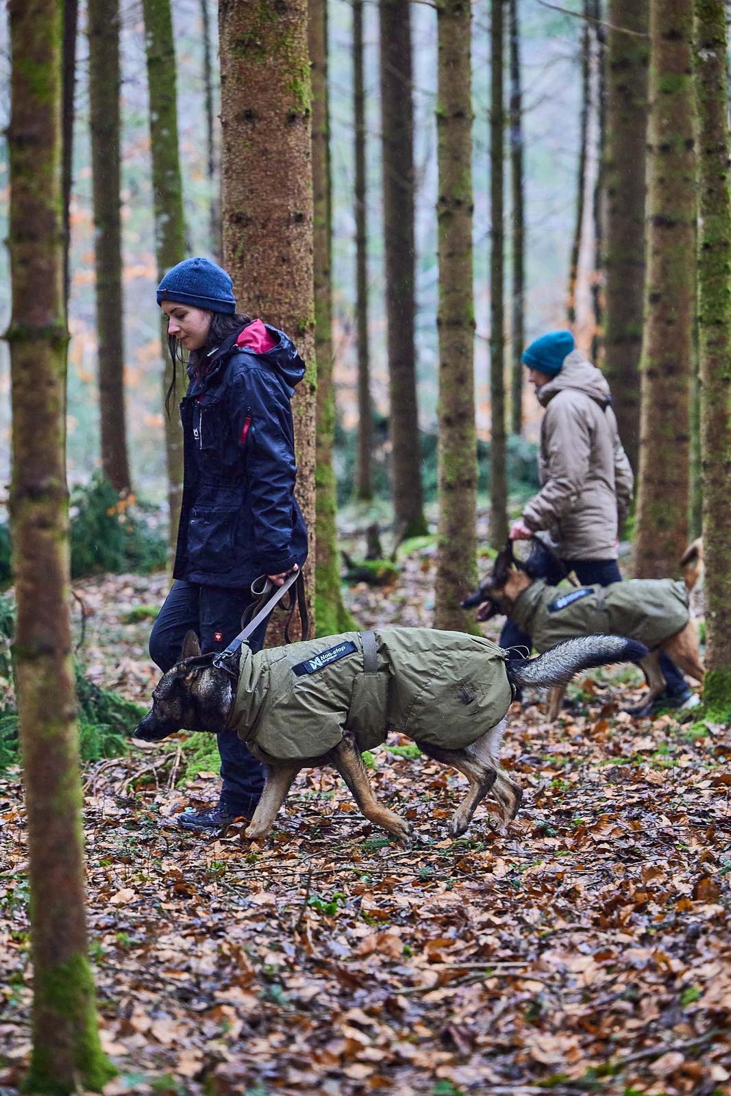 non-stop-dogwear-glacier-dog-jacket-wd-winter-hundemantel image 2