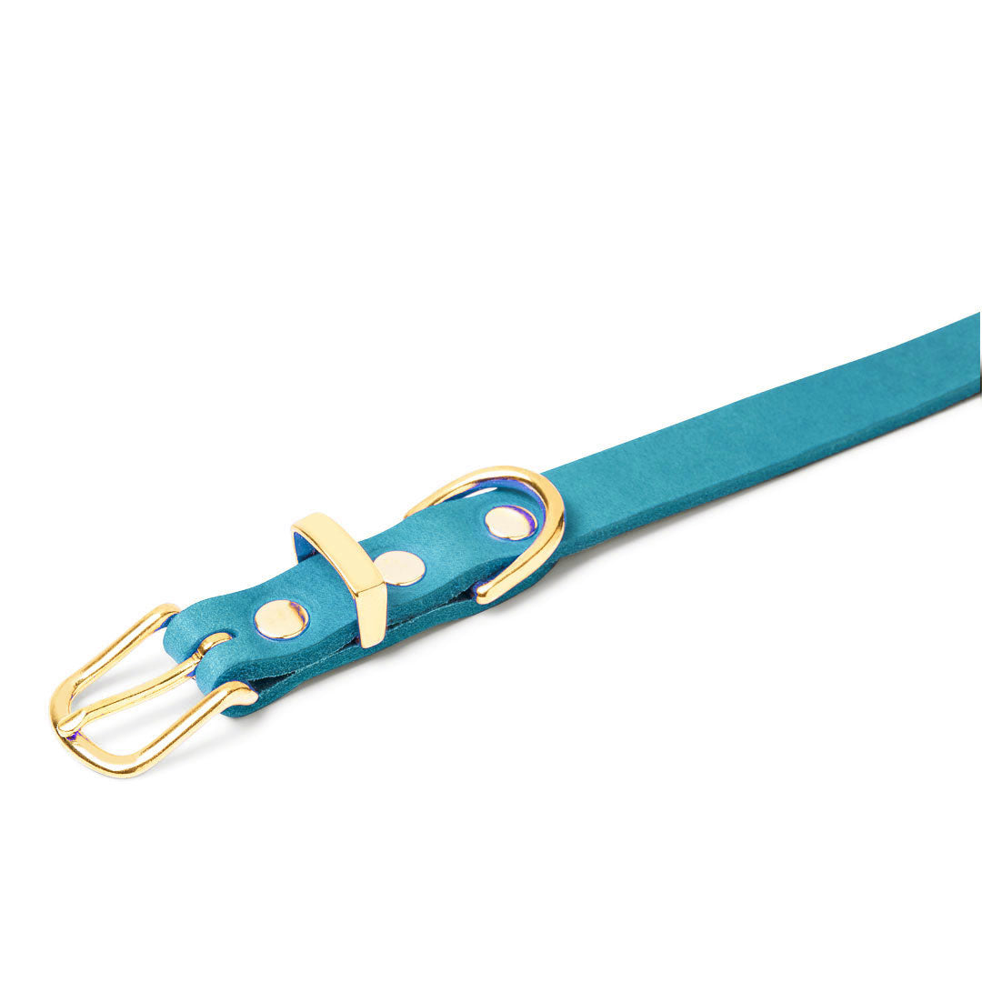 molly-and-stitch-butter-leather-hundehalsband-fiji-blue image 5