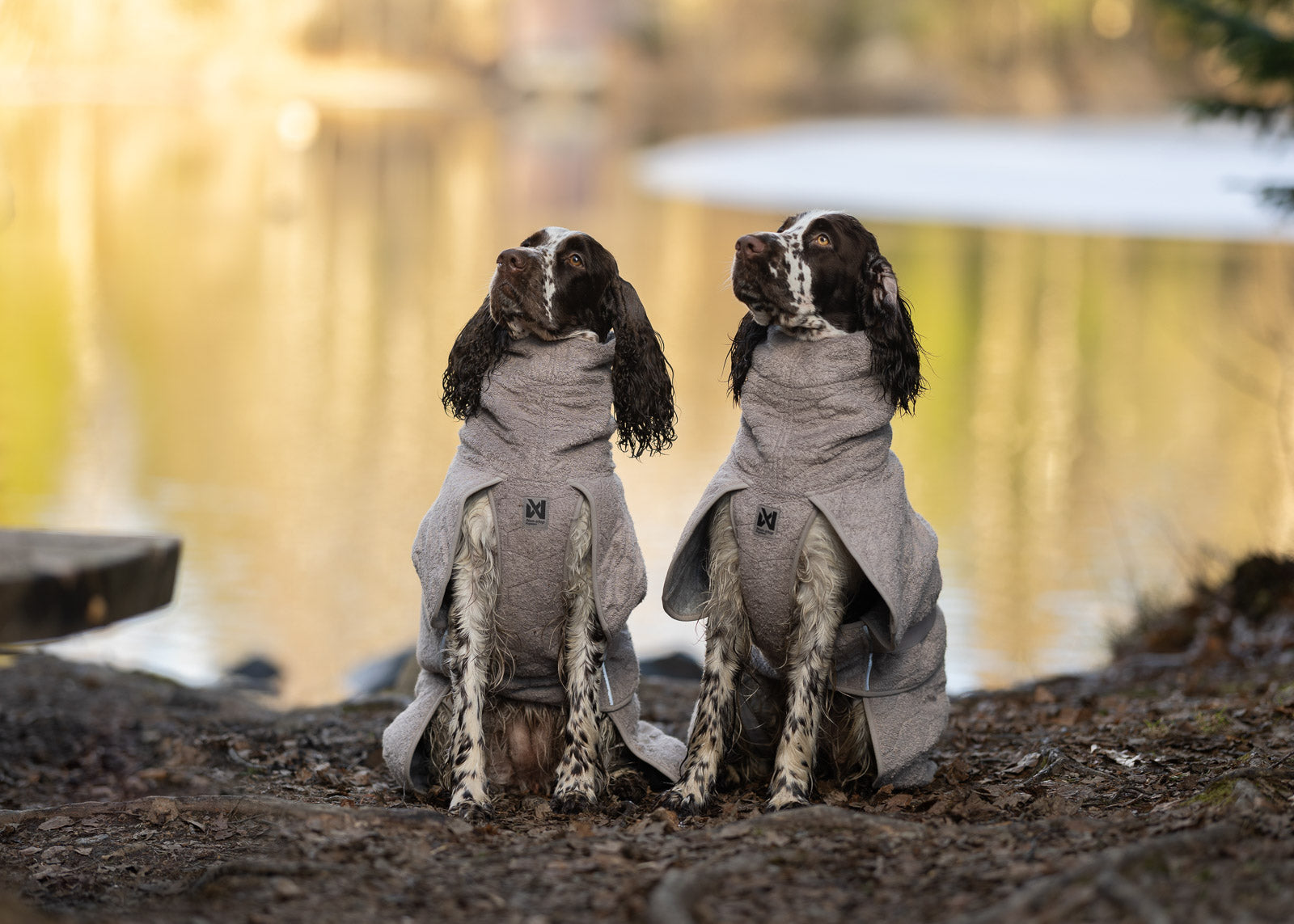 non-stop-dogwear-drying-coat-trockenmantel-hund image 8