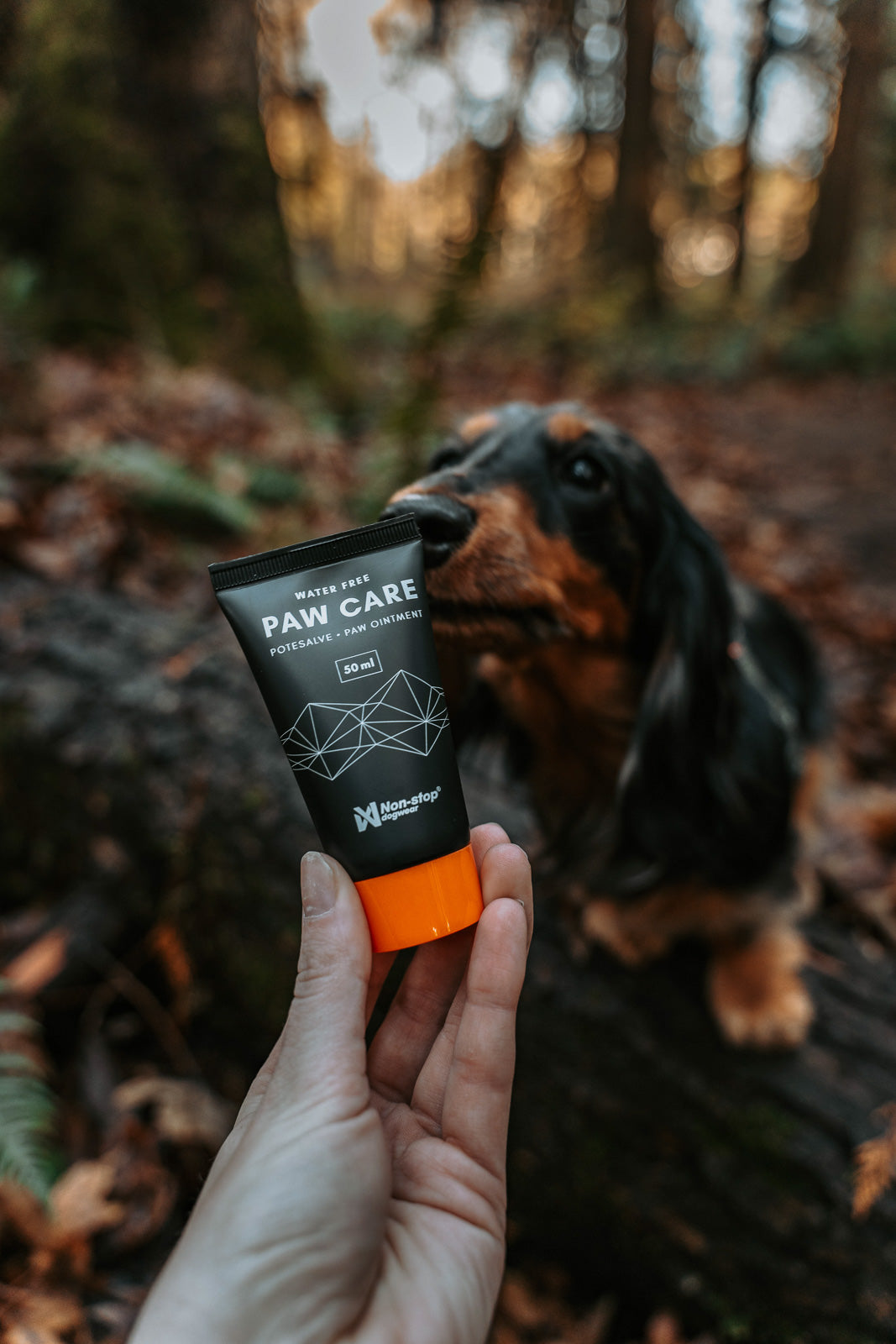 non-stop-dogwear-paw-care-pfotenpflege image 4