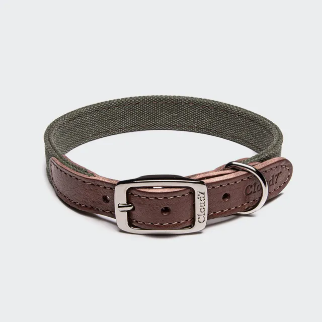 cloud7-tivoli-hundehalsband-olive image 1