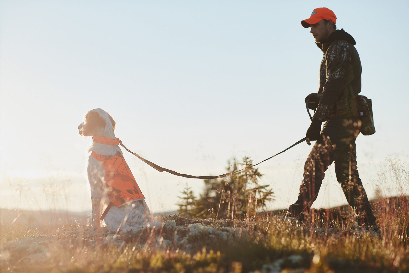 non-stop-dogwear-camo-cover-hunde-schutzweste image 3