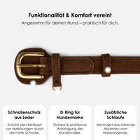 william-walker-hundehalsband-aus-wasserfestem-nubukleder image 2