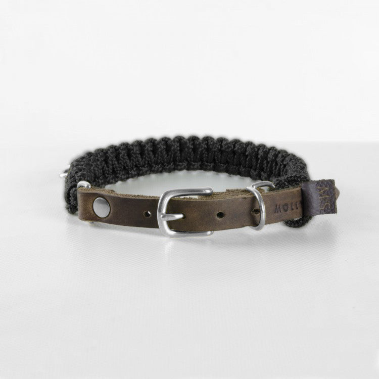 molly-and-stitch-touch-of-leather-hundehalsband-nero-schwarz image 6