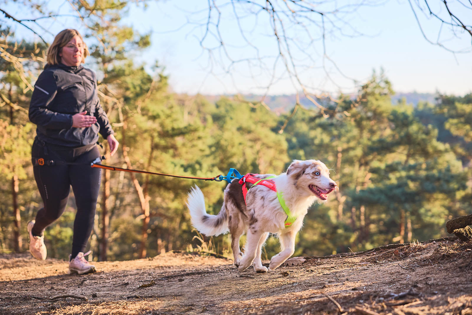 non-stop-dogwear-freemotion-harness-5-0-limited-edition-zuggeschirr image 4