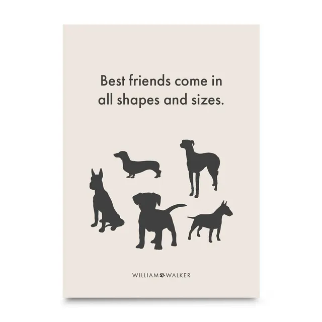 william-walker-postkarte-best-friends-gru-karte-shapes-and-sizes image 1