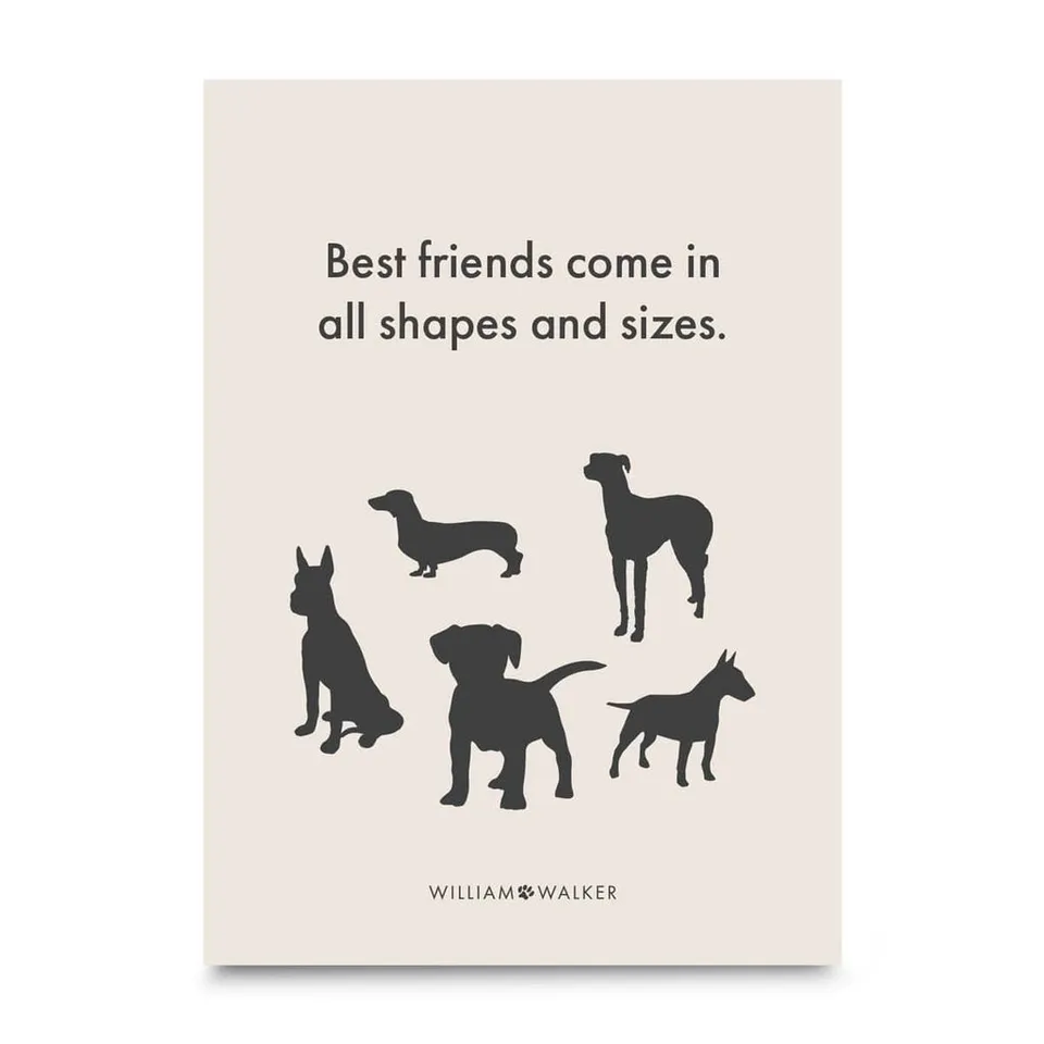 william-walker-postkarte-best-friends-gru-karte-shapes-and-sizes image 1