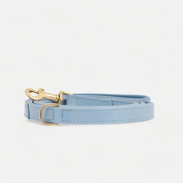 william-walker-sky-leder-hundeleine-hellblau-mit-messing image 1