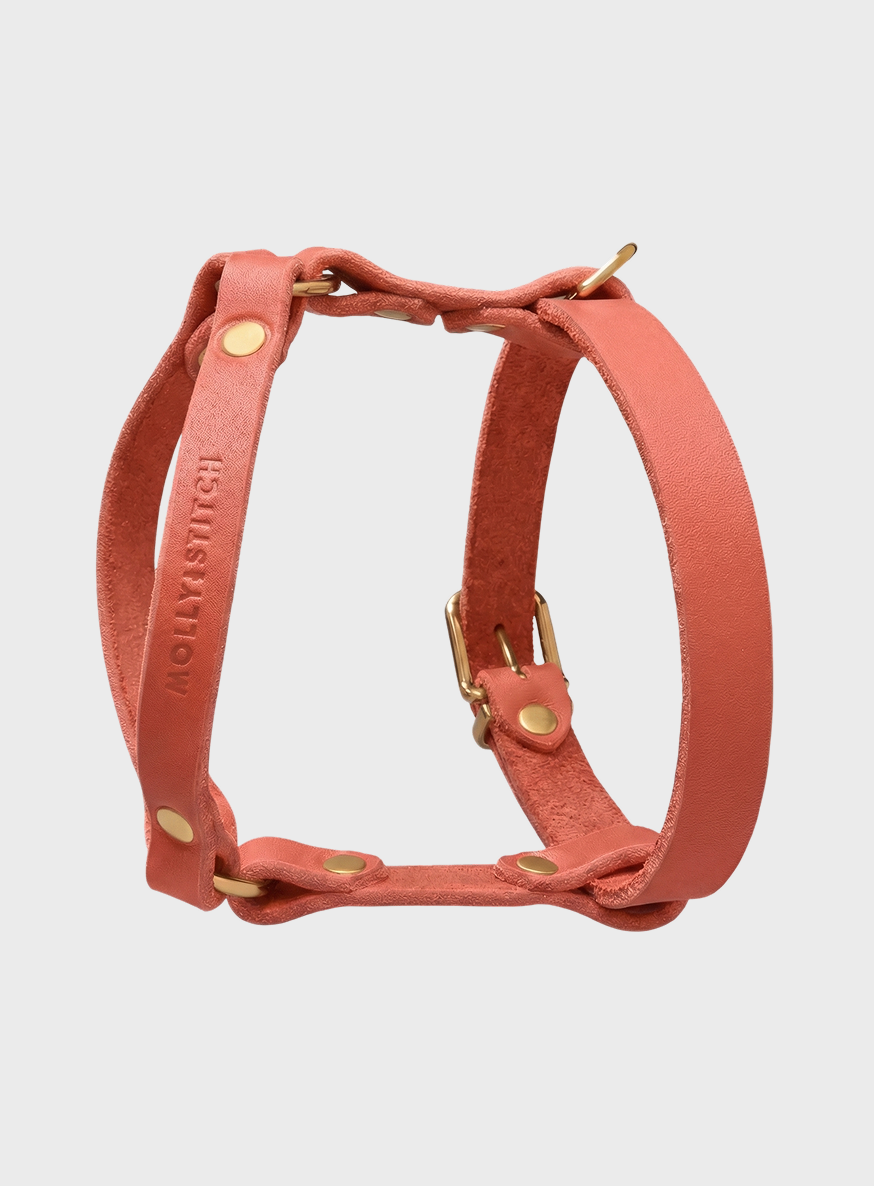 molly-and-stitch-butter-leather-y-geschirr-coral-pink image 2