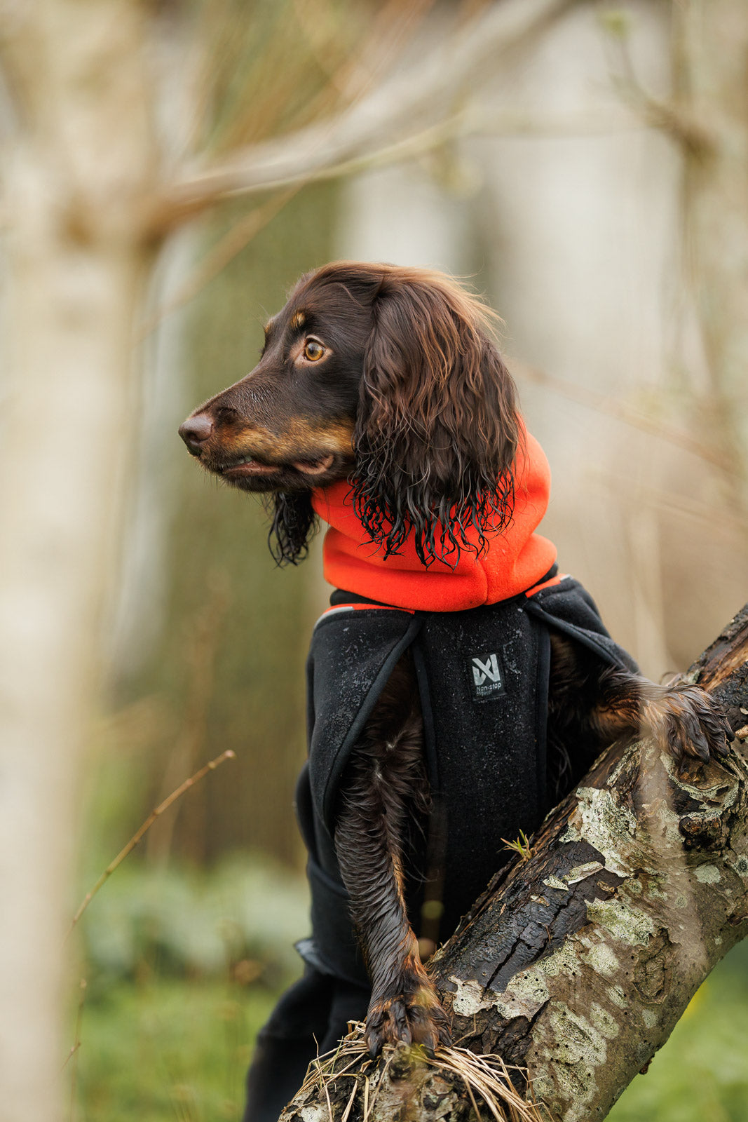 non-stop-dogwear-phoenix-dog-jacket-polartec-fleece-funktionsjacke image 2