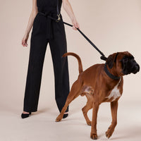 william-walker-prestige-nero-hundeleine-aus-leder-schwarz image 7